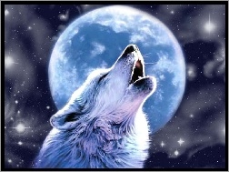 Księżyc, Wyjący, Wilk